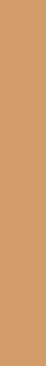 LEFT RECTANGLE