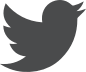icon-twitter