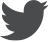 icon-twitter