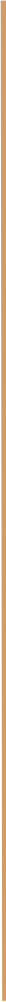 dividing line