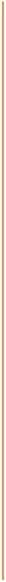 dividing line